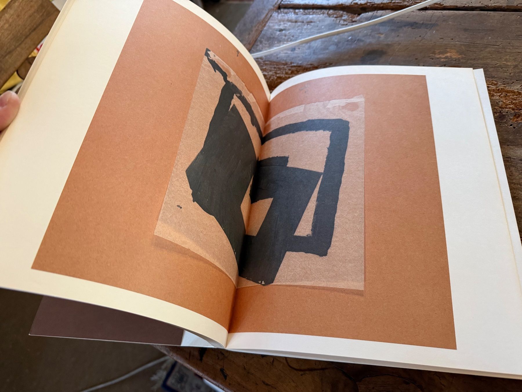 Libri: Joseph BEUYS – Usato da Bern venduto da Jwpm66 5