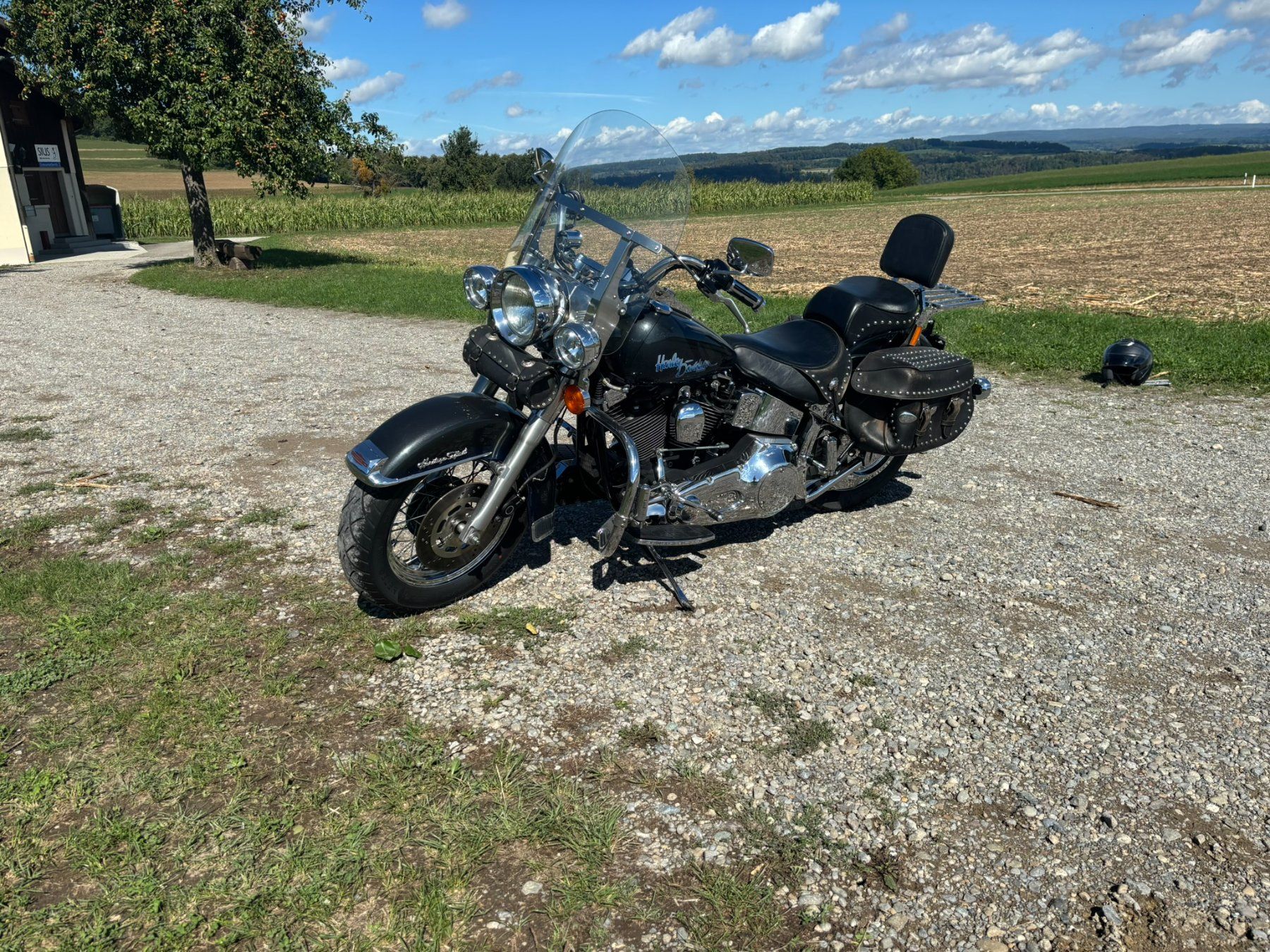 Harley-Davidson Chopper: Harley Davidson – Gebraucht aus Berg am Irchel von cent007 1