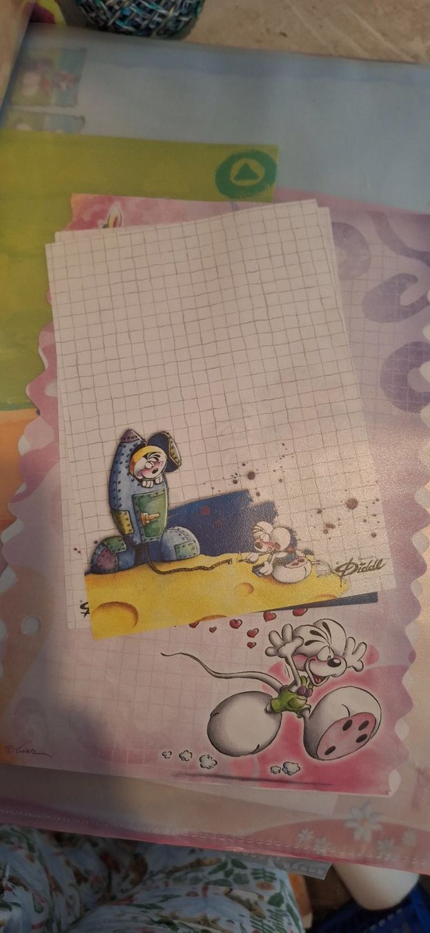 Raccoglitori: Diddl Ordner, Top Zustand! – Usato da Bülach venduto da cor_nfm8 4