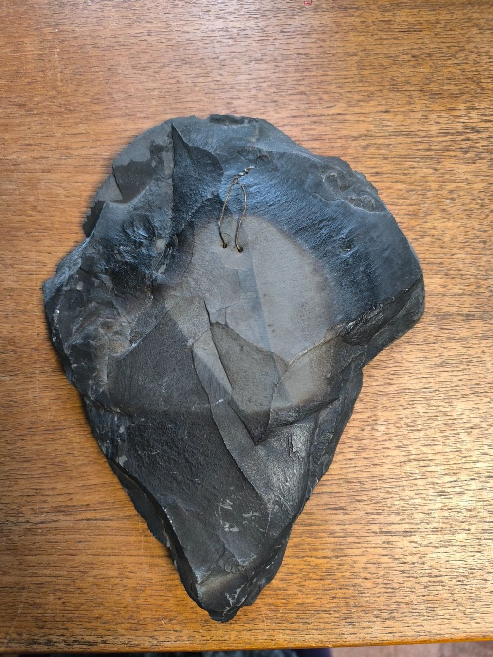 Fossili: Fossil - Versteinerter Ammonit – Usato da Fruthwilen venduto da rescuemarie 4