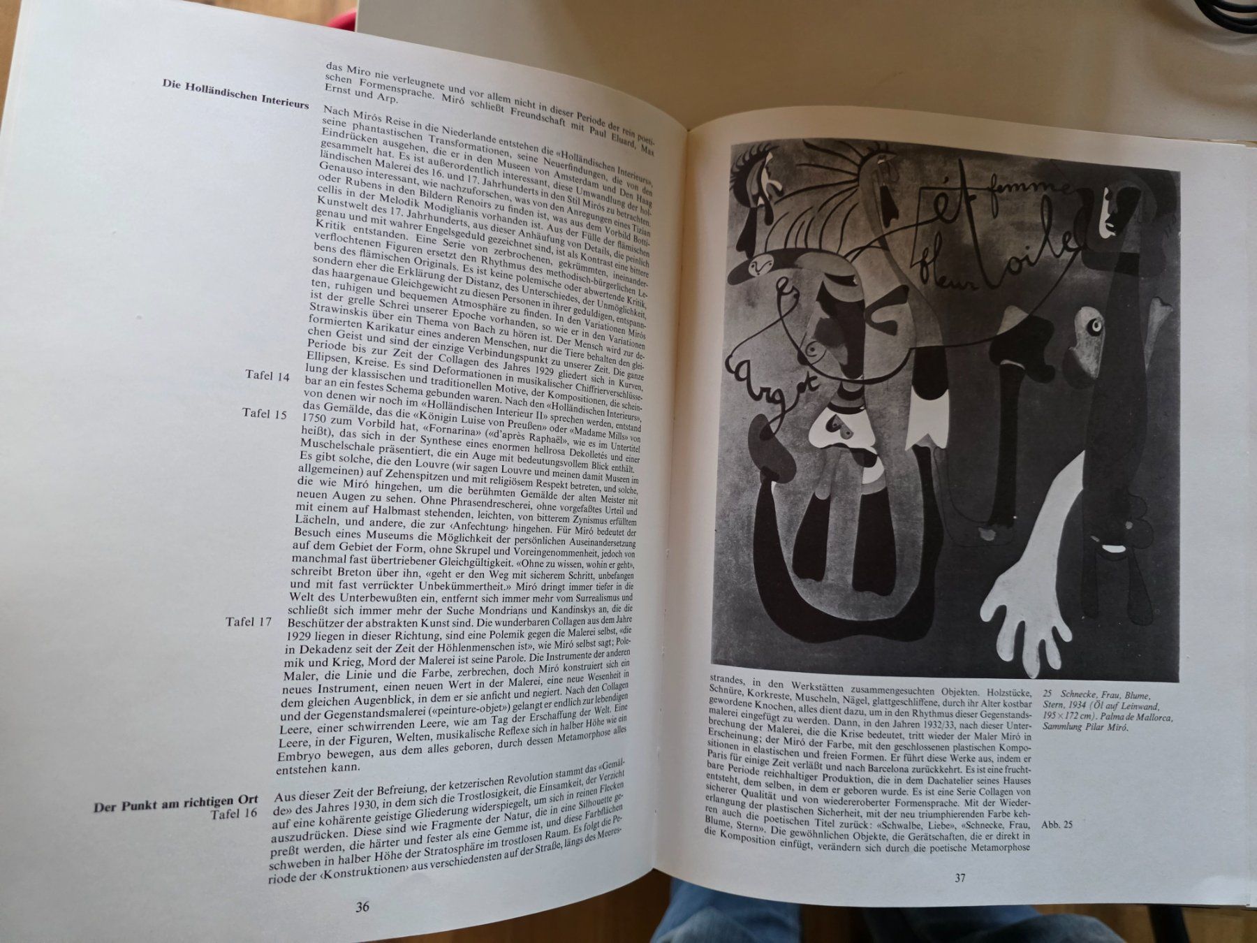 Libri: Joan Miro - Gestalter unserer Zeit - 1971 – Usato da Walterswil BE venduto da Lonitti 6