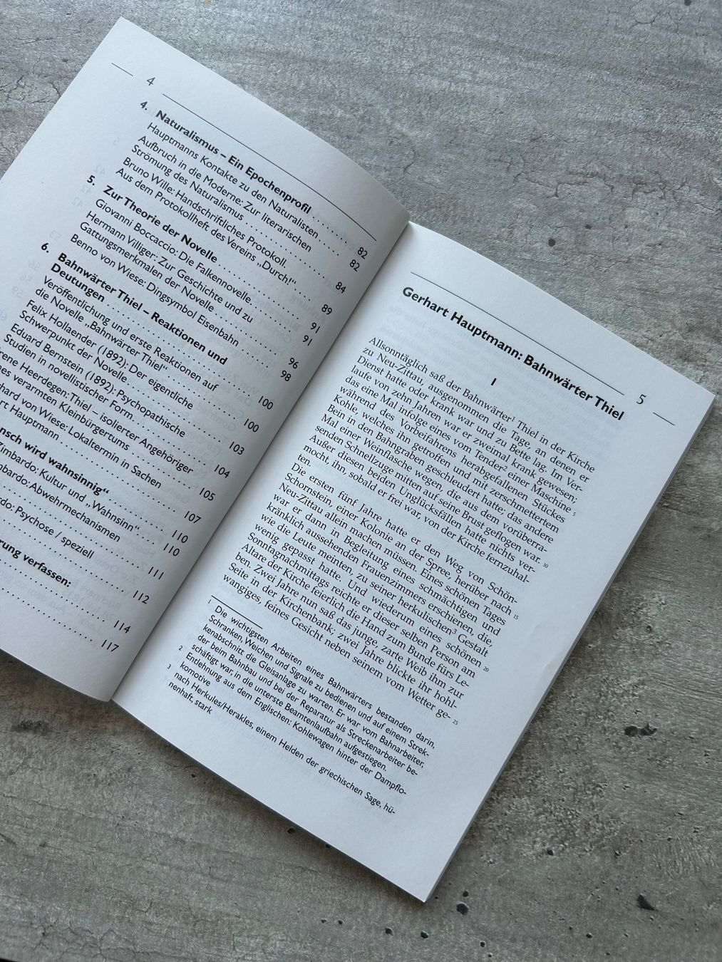 Livres: Bahnwärter Thiel – Neuf (Voir description) à Wabern par belka72 1