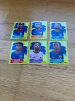 Panini CPV 2,3,9,18,19,20
