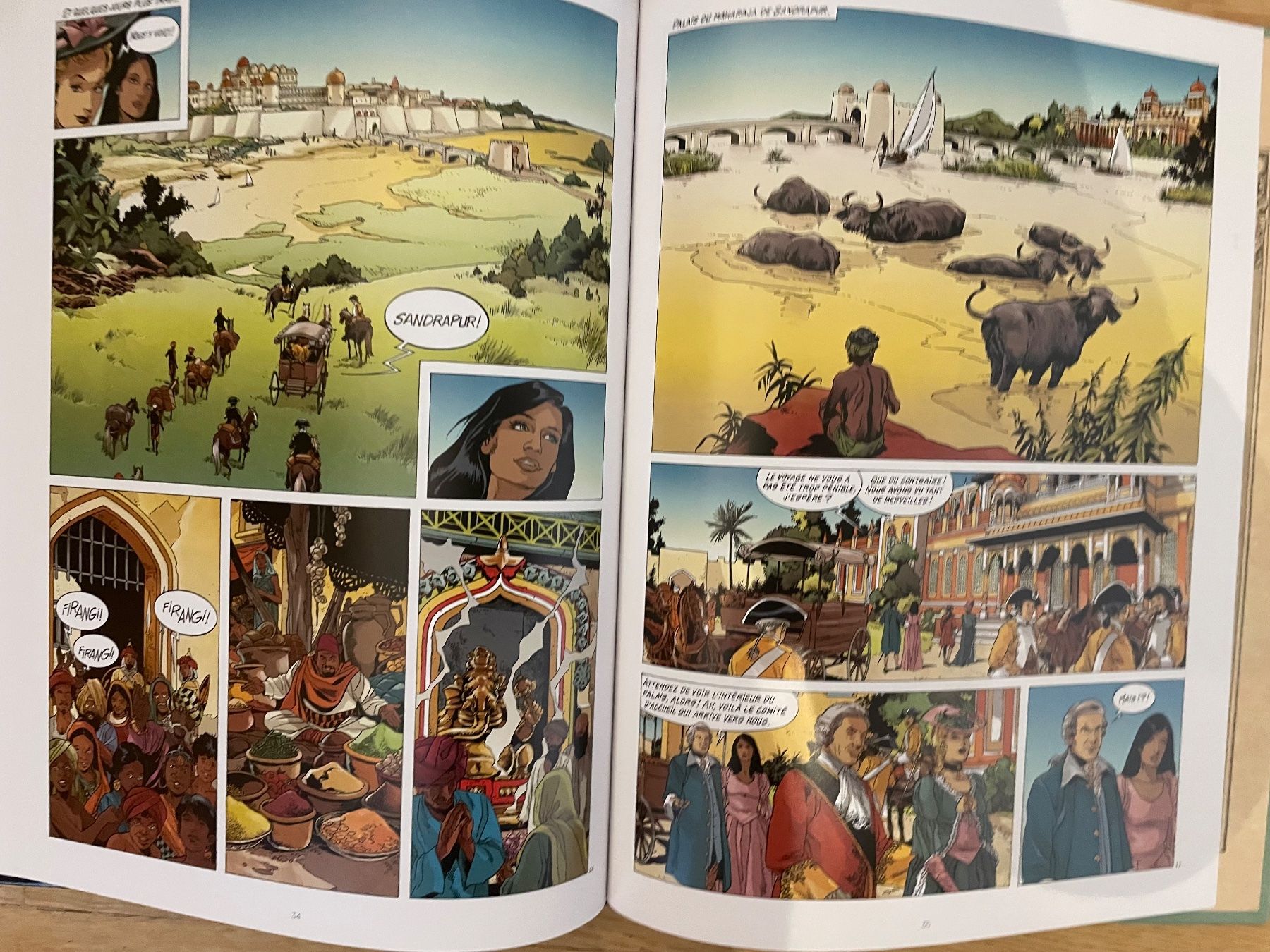Comics: RANI, Sauvage, Tome 5 – Neu (gemäss Beschreibung) aus Stäfa von Franquin 2