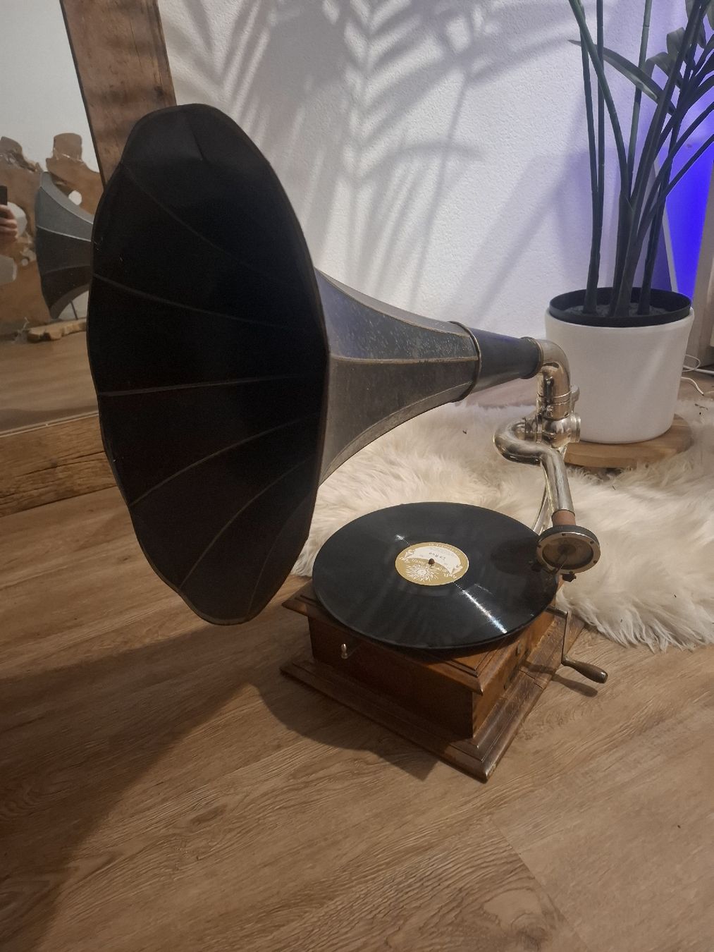 Tourne-disques: Grammophon mit großem Trichter + Schellackplatten – D'occasion à Gerzensee par inf_7662