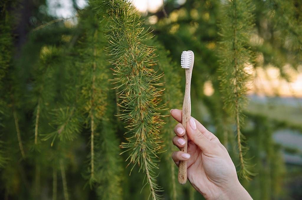 Cura dei denti: DESTOCK: Brosse à dents en bois SOFT – Usato da Ecuvillens venduto da Manddariine