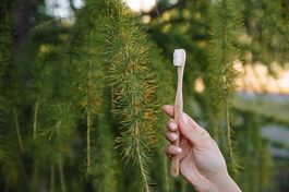 DESTOCK: Brosse à dents en bois SOFT