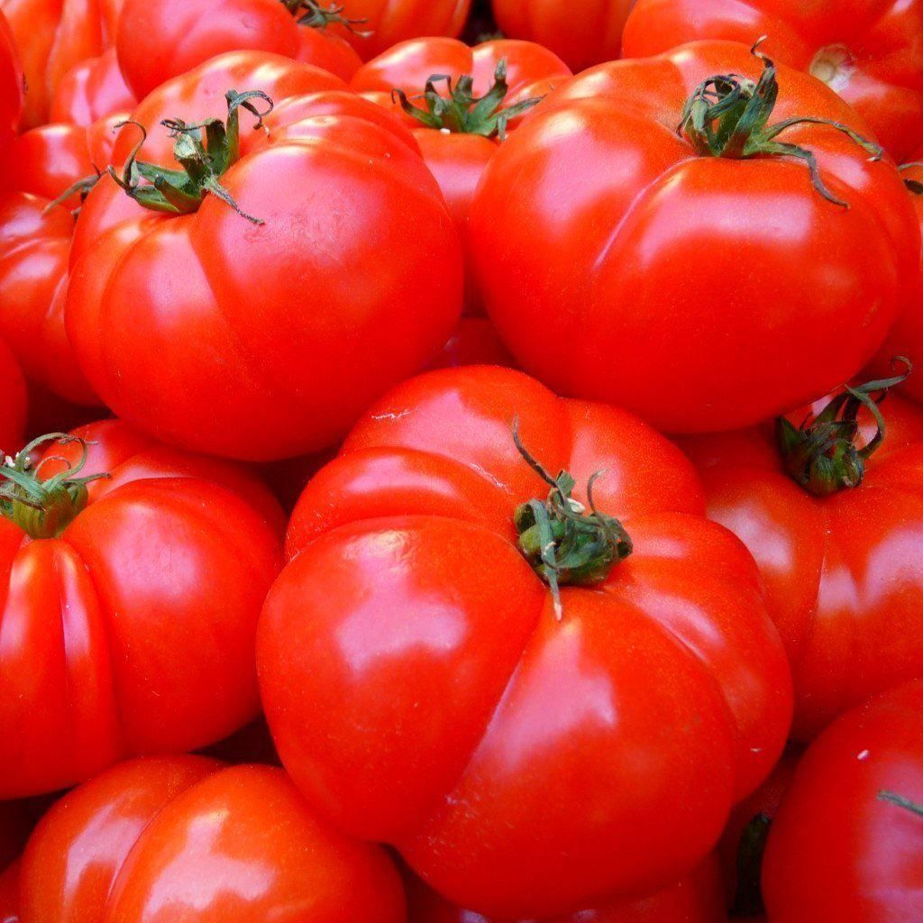 Piante & sementi: 50 Samen TOMATE BRANDYWINE  Alte Sorte – Nuovo (secondo la descrizione) da Ehrendingen venduto da VerveinaSamen 6