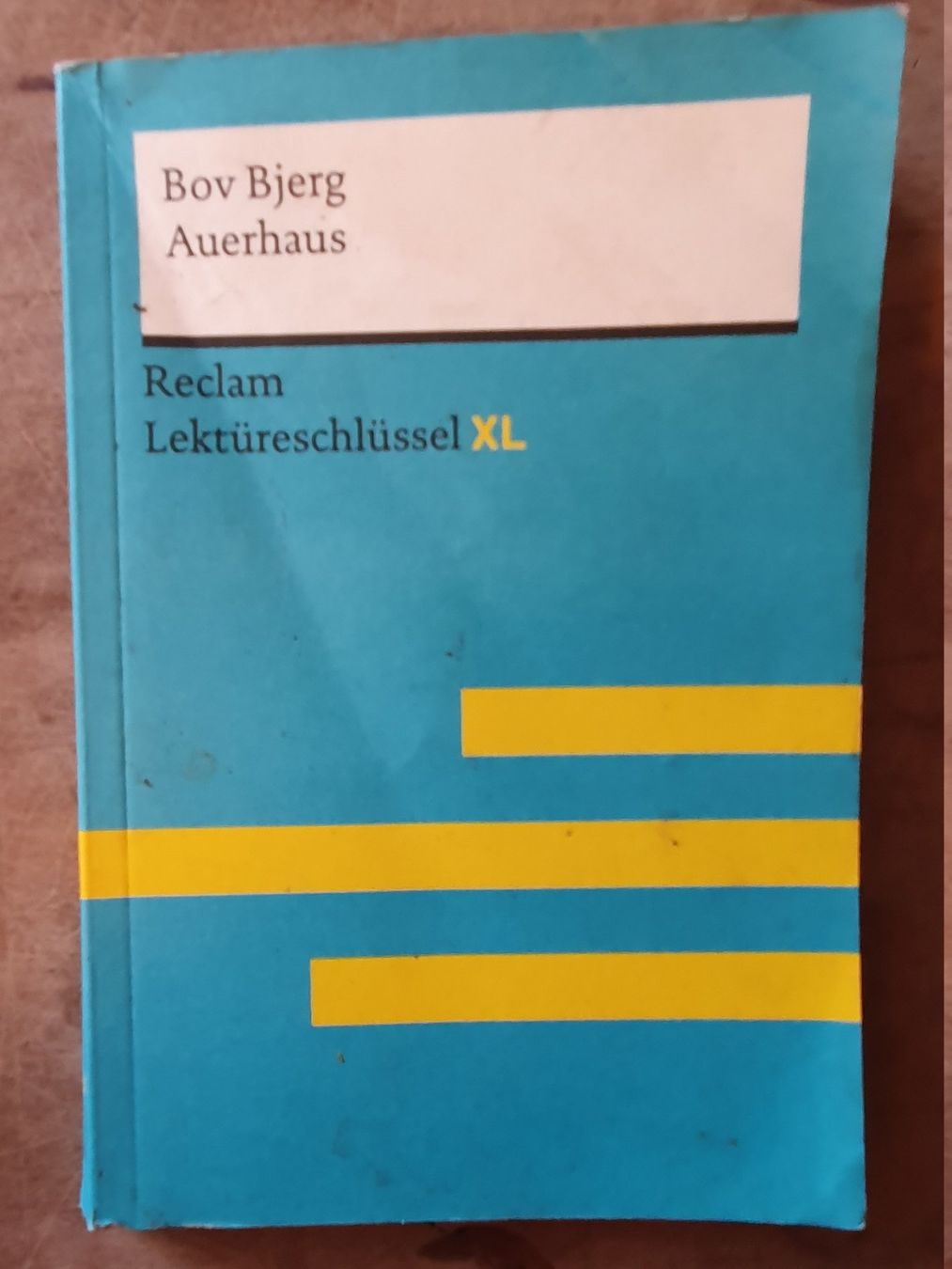 Libri: Auerhaus Bov Bjerg Reclam – Usato da Zürich venduto da loosebone