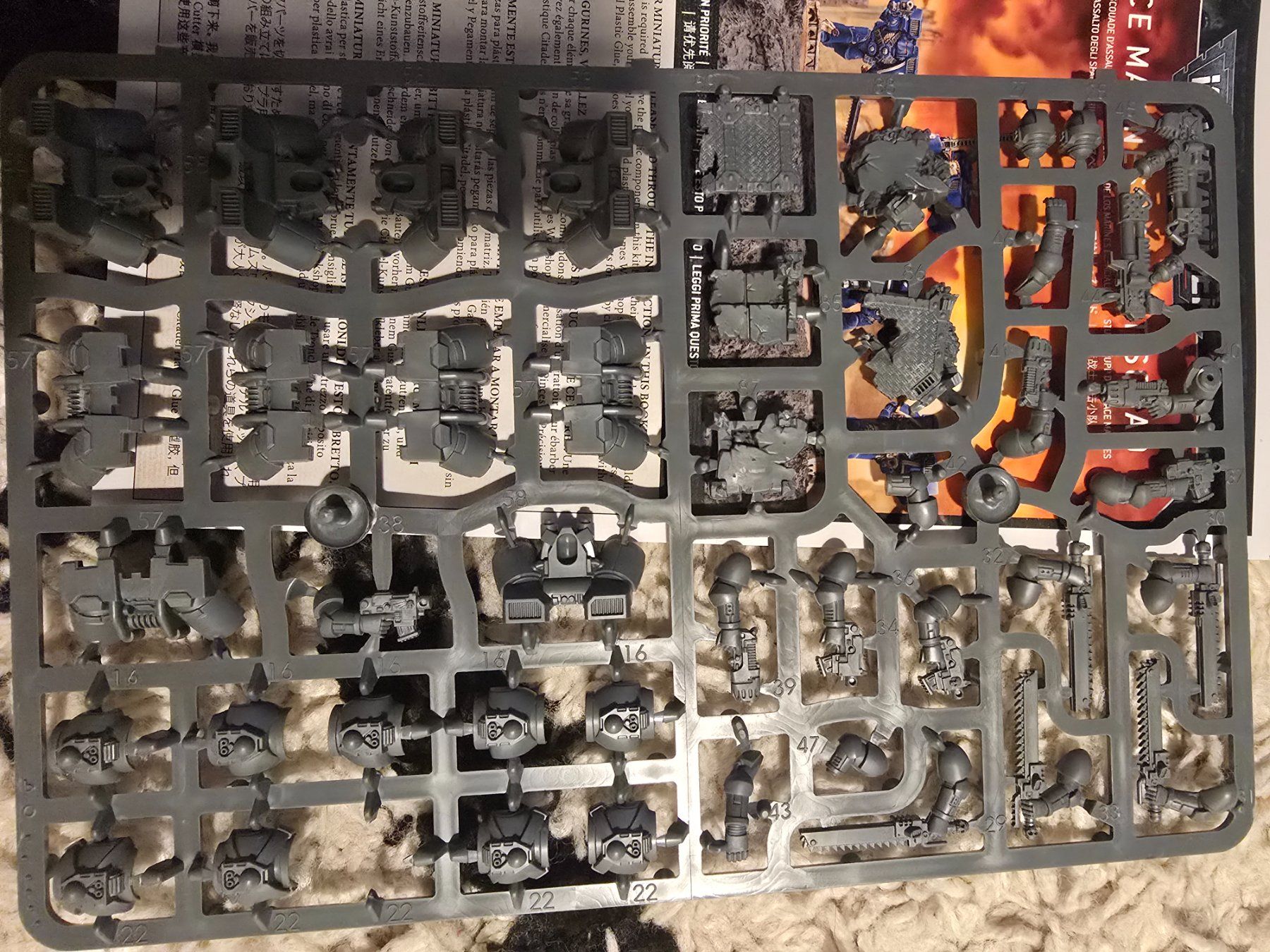 Kit di modellismo & Modellini statici: Warhammer 40k Assault Squad (Firstborn) Rare – Nuovo (secondo la descrizione) da Maur venduto da pet_v5jw 3