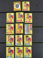 Panini FIFA World Cup 2026 Sticker, Diverse Ecuador