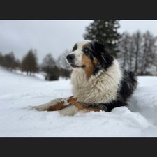 Profile image of Flurry1987