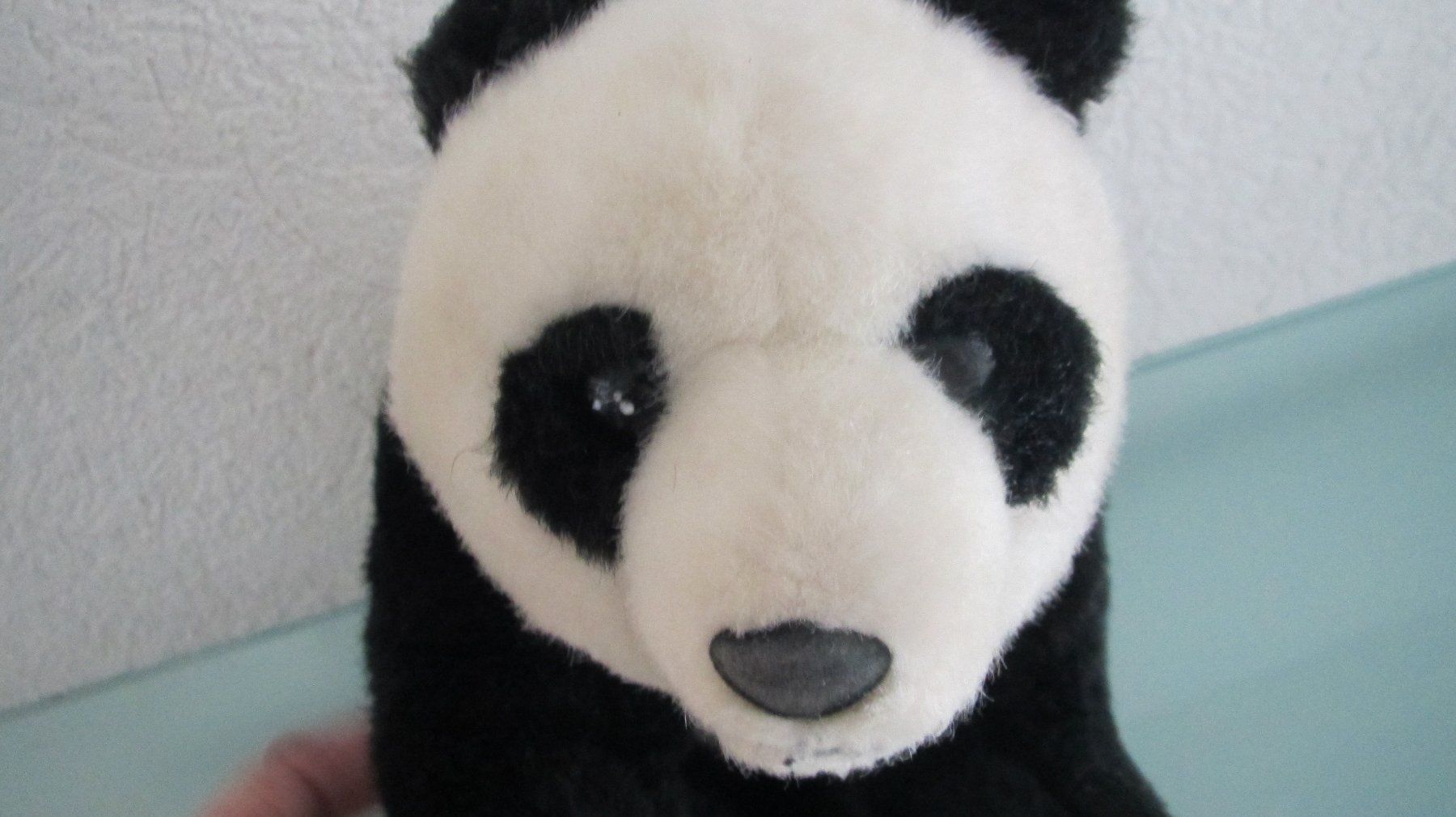 Giocattoli: PELUCHE GRAND PANDA – Usato da Murten venduto da Selliot 2