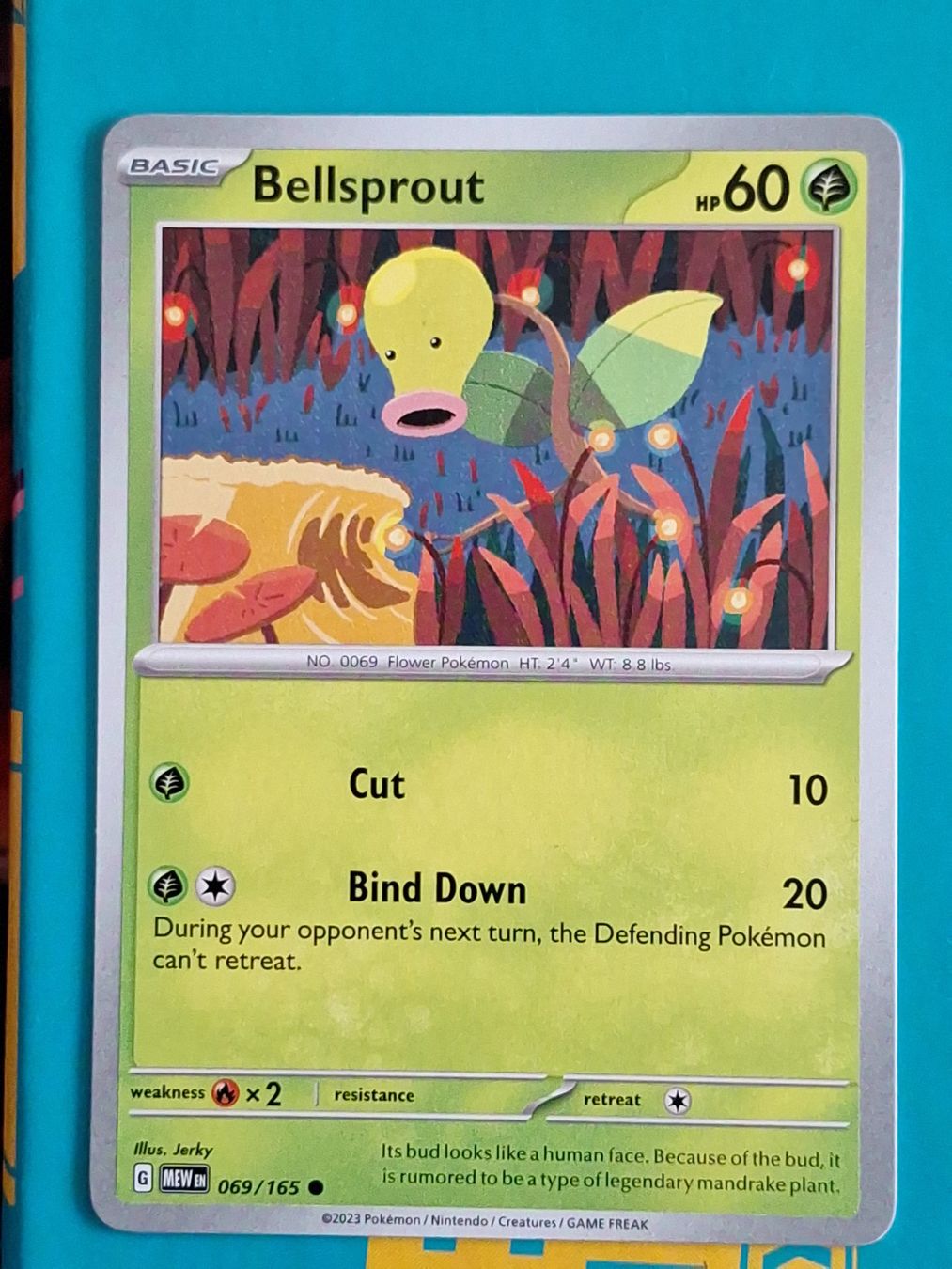 Pokémon Carte collezionabili: Bellsprout - Pokemon Mew 151 Englisch – Usato da Altstätten SG venduto da GGsGameshop