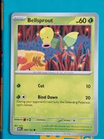 Bellsprout - Pokemon Mew 151 Englisch