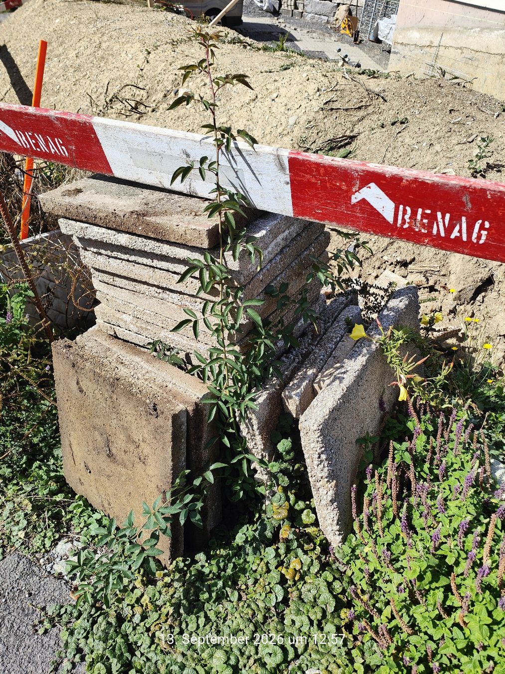Rivestimenti per pavimenti: Gartenplatten ca 30stk – Usato da Aesch LU venduto da Cubic 1