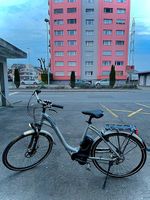 Flyer E Bike 25 km h 
