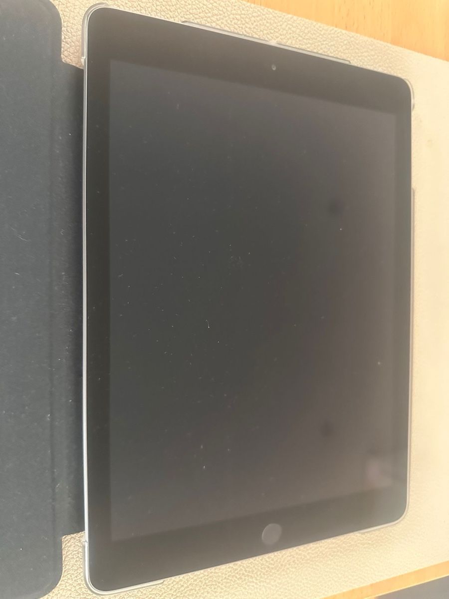 Apple Tablet PC: iPad Air 2 - Top Zustand mit Originalbox – Nuovo (secondo la descrizione) da Wetzikon ZH venduto da mic_ssc8
