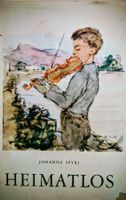 Heimatlos, Johanna Spyri, Jugendbuch Klassiker,