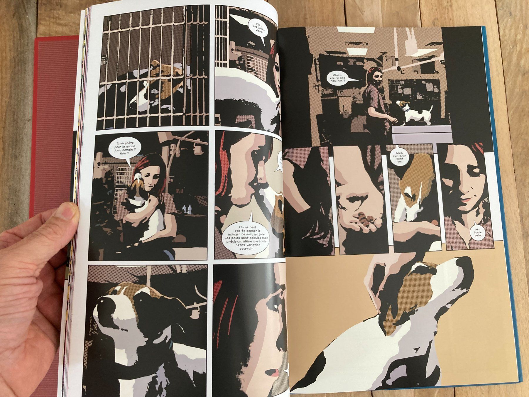 Fumetti: JEFF LEMIRE-Primordial-EO 2022 – Usato da vaumarcus venduto da Nicolasorel 8