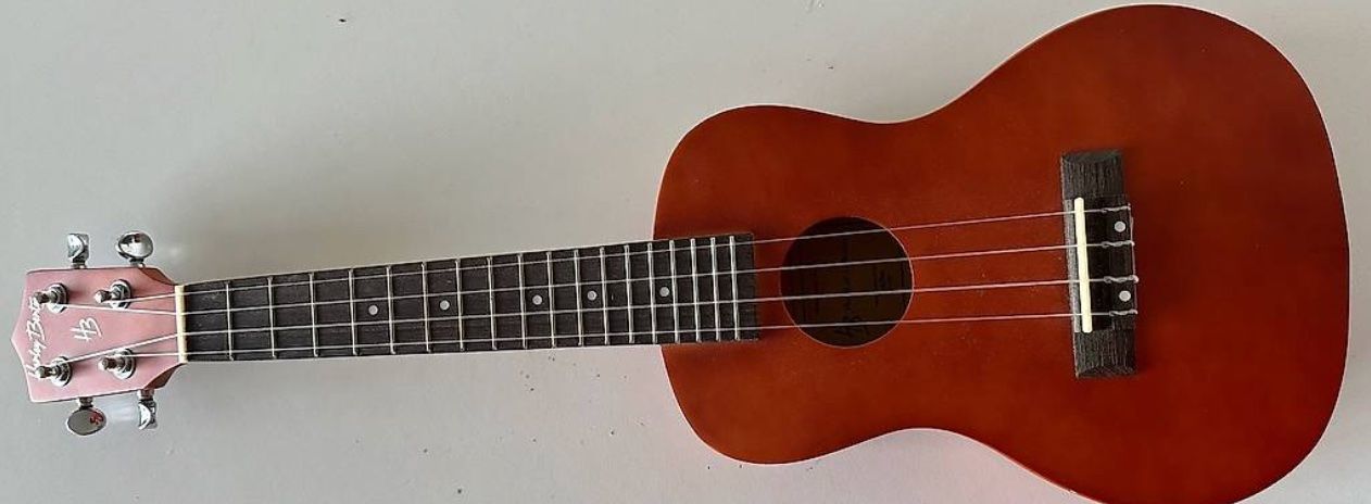 Harley Benton Strumenti musicali: Ukulele Harley Benton UK-11C Brown – Usato da Thalwil venduto da Herradura
