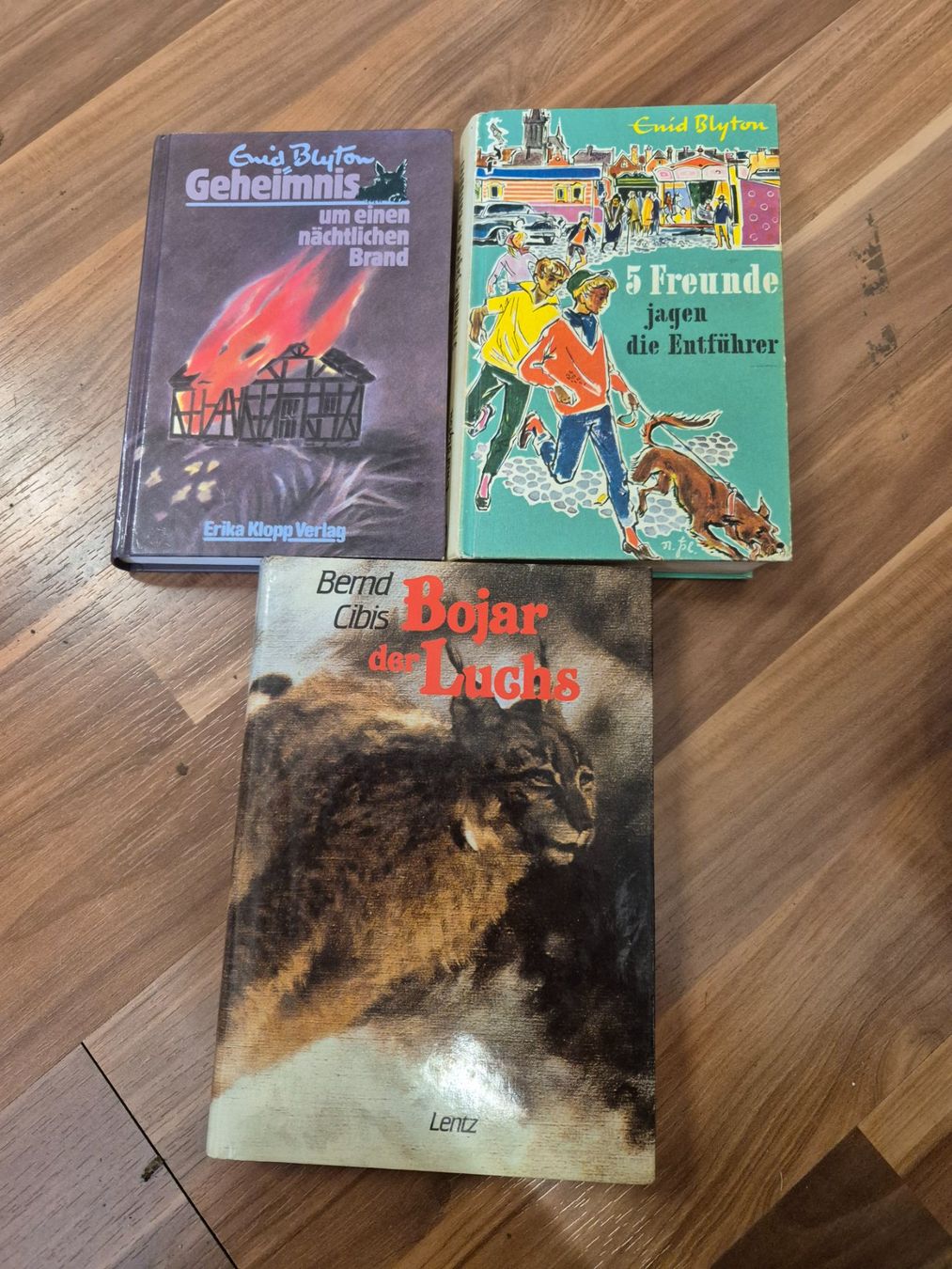 Libri: 2 Bücher Enid und Bojar der Luchs B20 – Usato da Schwarzenburg venduto da Flamingo07