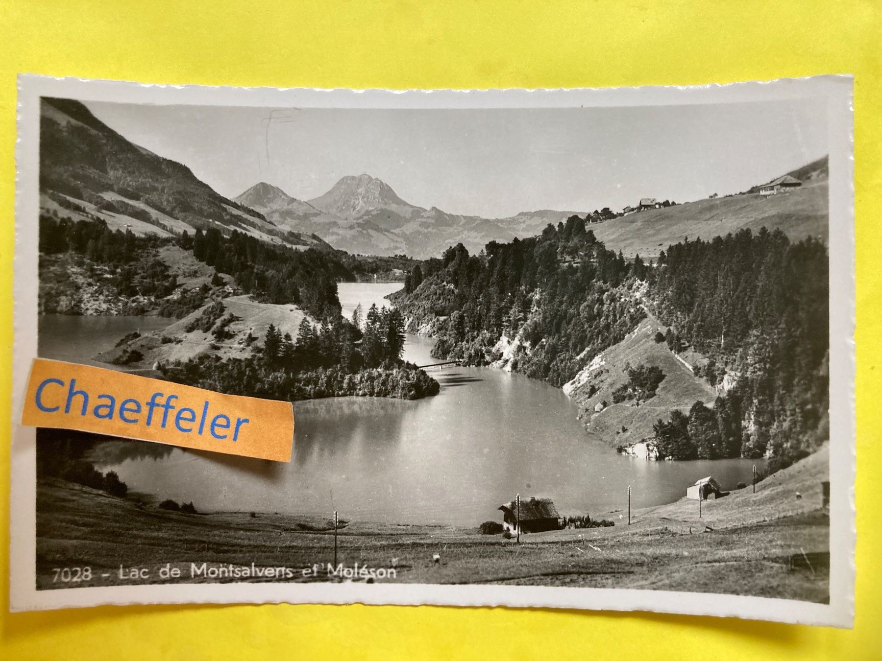 Cartoline postali: 7028 - Lac de Mintsalvens et Moléson – Usato da Zürich venduto da Chaeffeler