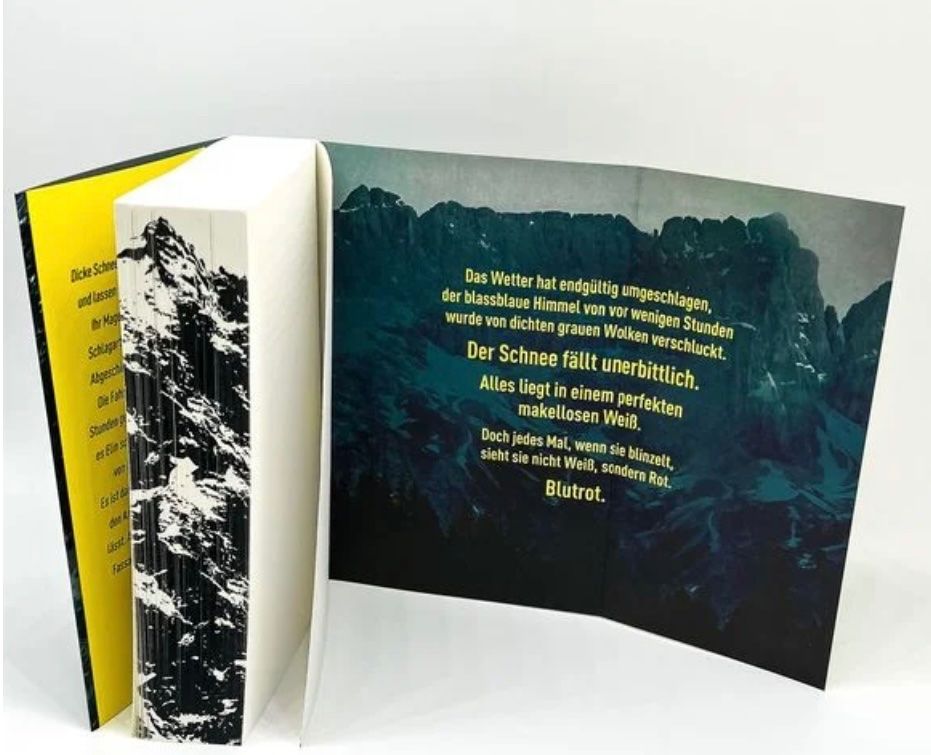 Libri: DAS SANATORIUM - SARAH PEARSE - FARBSCHNITT - LIMITIERT – Usato da Buchs AG venduto da fischli610 1