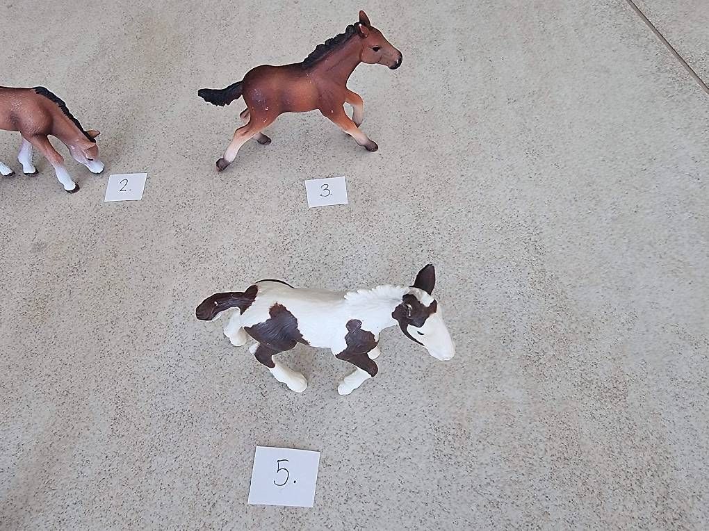 Schleich Giocattoli: Schleich Fohlen – Usato da Ortschwaben venduto da Patrick1978 2