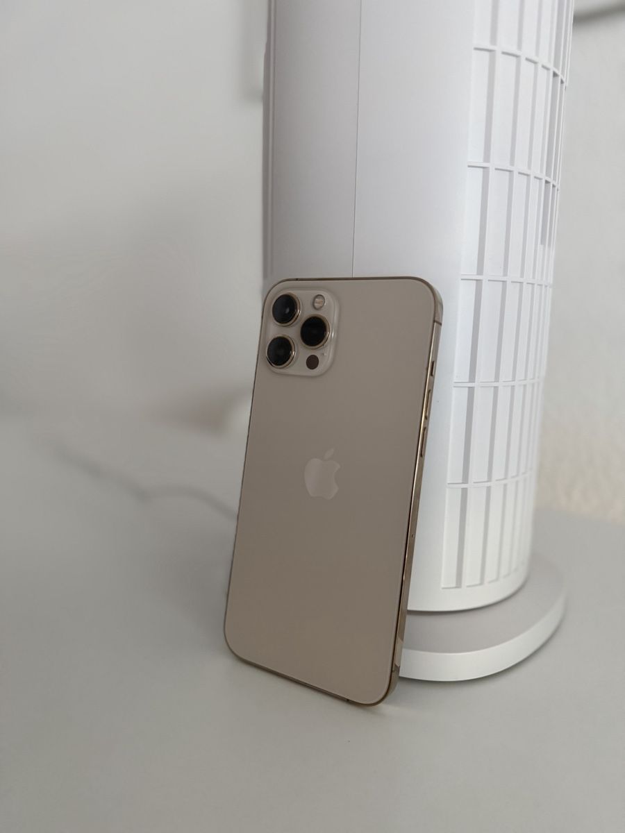 Apple Telefoni cellulari / Smartphones: I Phone 12 pro Max 128 GB – Usato da Reiden venduto da fashion_2021 2