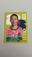 Carte panini 2026 - KOR 17