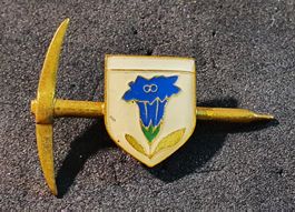 GG565 - Pin Enzian auf Pickel