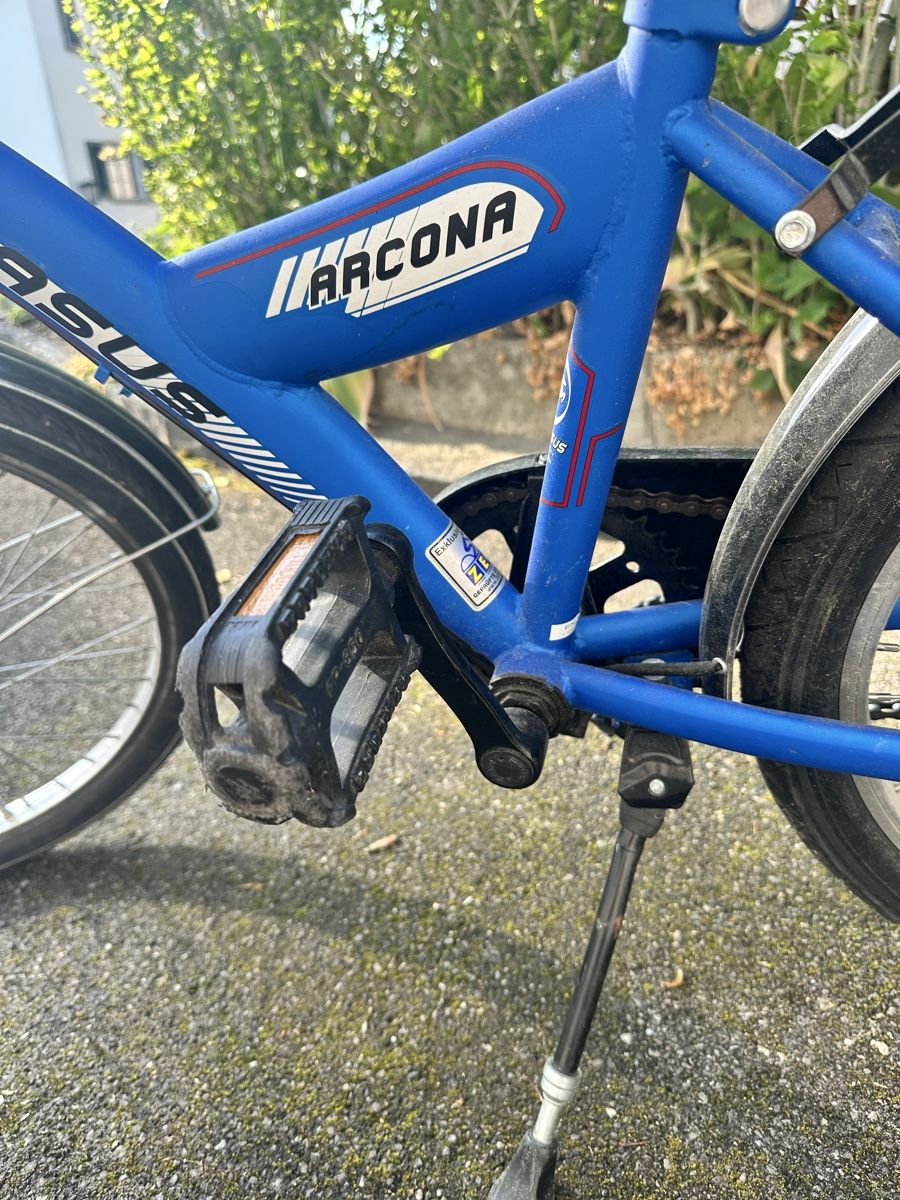 Biciclette: Pegasus Arcona Kindervelo, blau,  20 Zoll – Usato da Luzern venduto da linacolada1 2