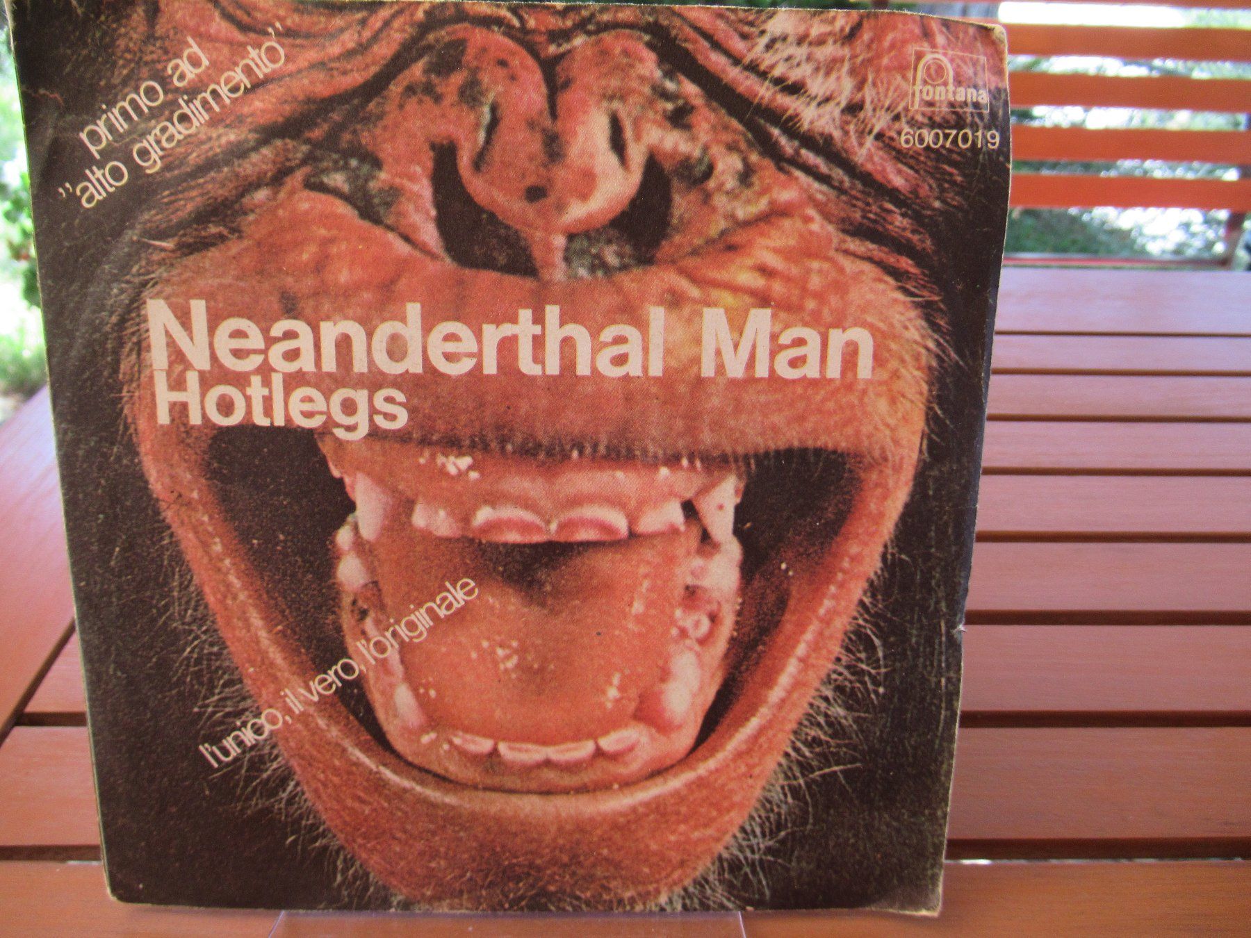 Dischi in vinile: HOTLEGS - NEANDERTHAL MAN – Usato da Grône venduto da Mire01