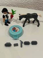Playmobil Mädchen, Pony und Pflegeset mit Box
