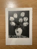Alte Ansichtskarte mit Tulpen, 1959, Top Zustand!