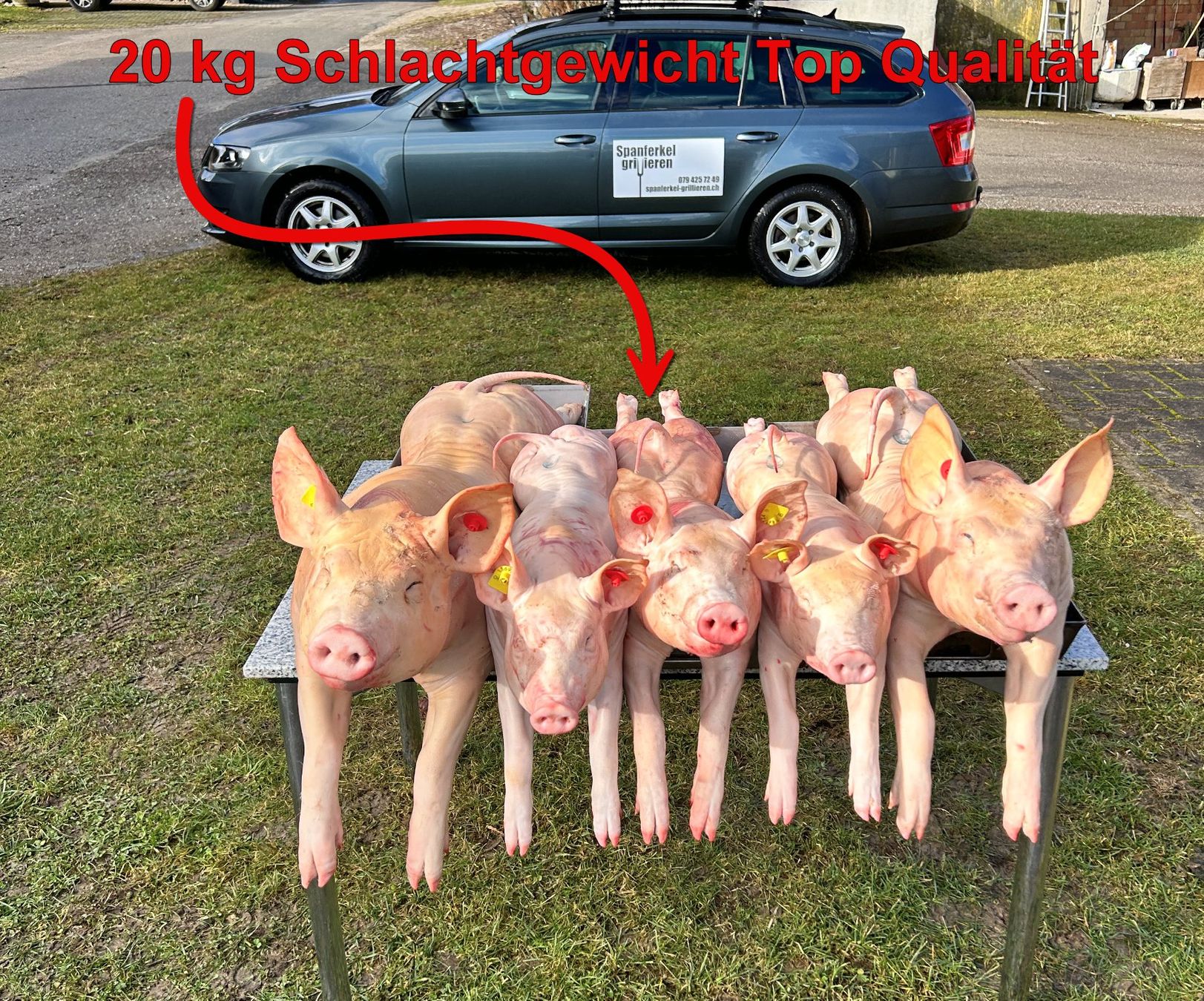 Lebensmittel & Spezialitäten: Spanferkel 20 kg Top Qualität – Neu und originalverpackt aus Grasswil von Friedli6