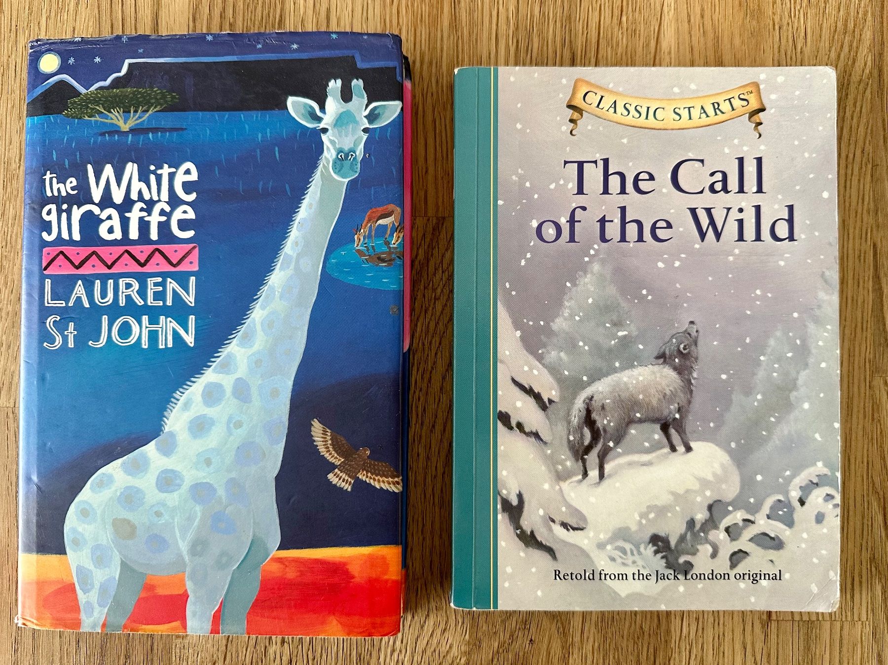 Libri: 2 English books – Usato da Amriswil venduto da Mat08