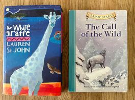2 English books