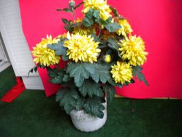 Grosser knstlicher Blumenstock, Kunstpflanzen (Gebraucht) in  Untersiggenthal fr CHF 14  nur Abholung auf Ricardo kaufen