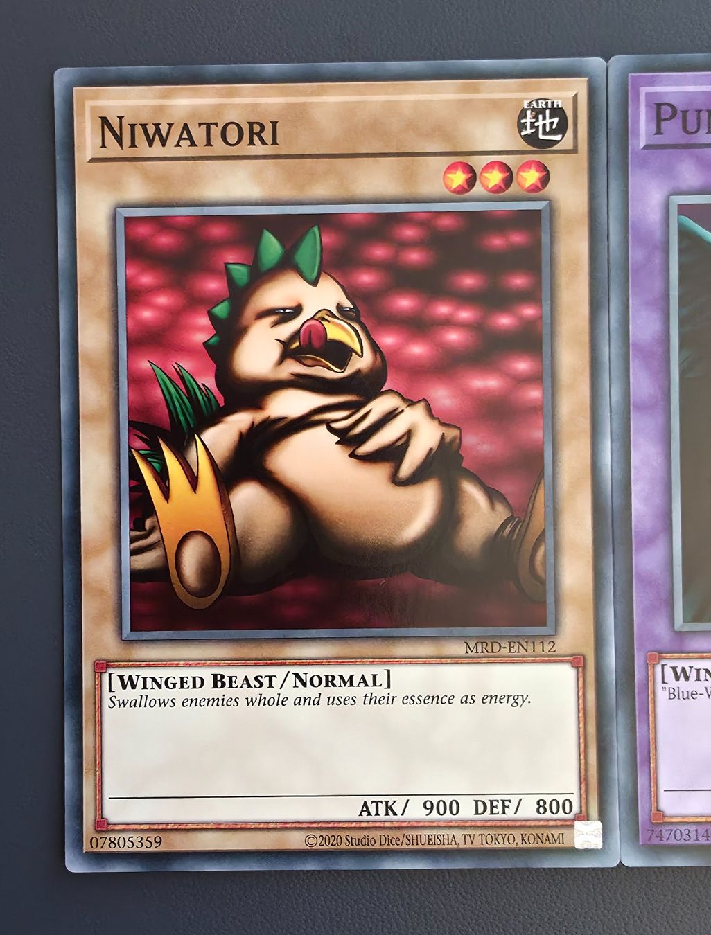 Yugioh Carte collezionabili: Punished Eagle Fusionset, MRD, Yugioh – Nuovo (secondo la descrizione) da Zürich venduto da StickerPatron 1