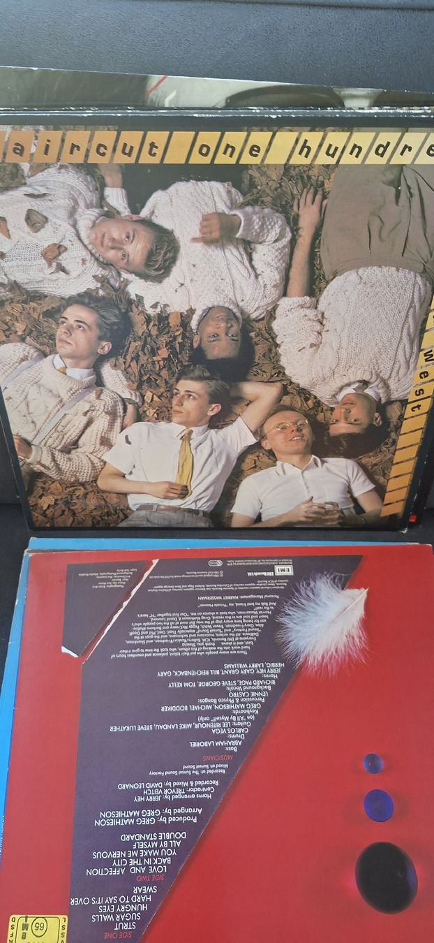 Dischi in vinile: Kleine Schallplatten Sammlung  – Usato da Riehen venduto da Steinbock1970 4