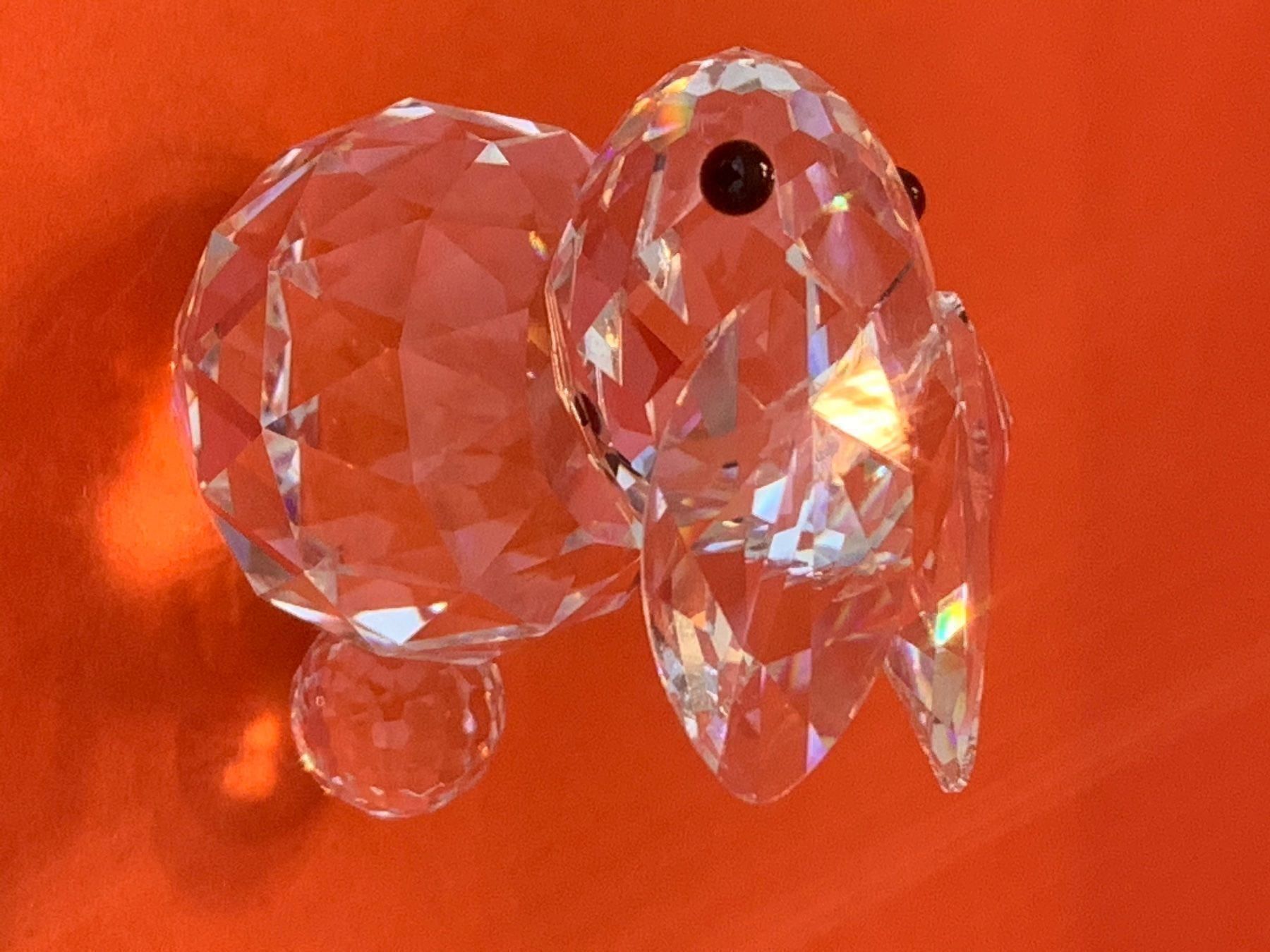 Swarovski Statuette: Swarovski Hase – Nuovo (secondo la descrizione) da Oberglatt ZH venduto da Multimix 2