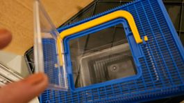 Nagetier Transportkiste