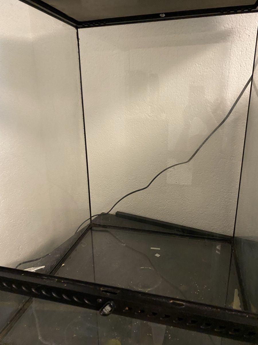 Exo terra Terrarium: Exo Terra 45x45x60cm – Gebraucht aus Winznau von sadamu 1
