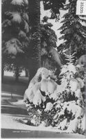 Courses Nationales Suisse de Ski - La Chaux-de-Fonds 1912