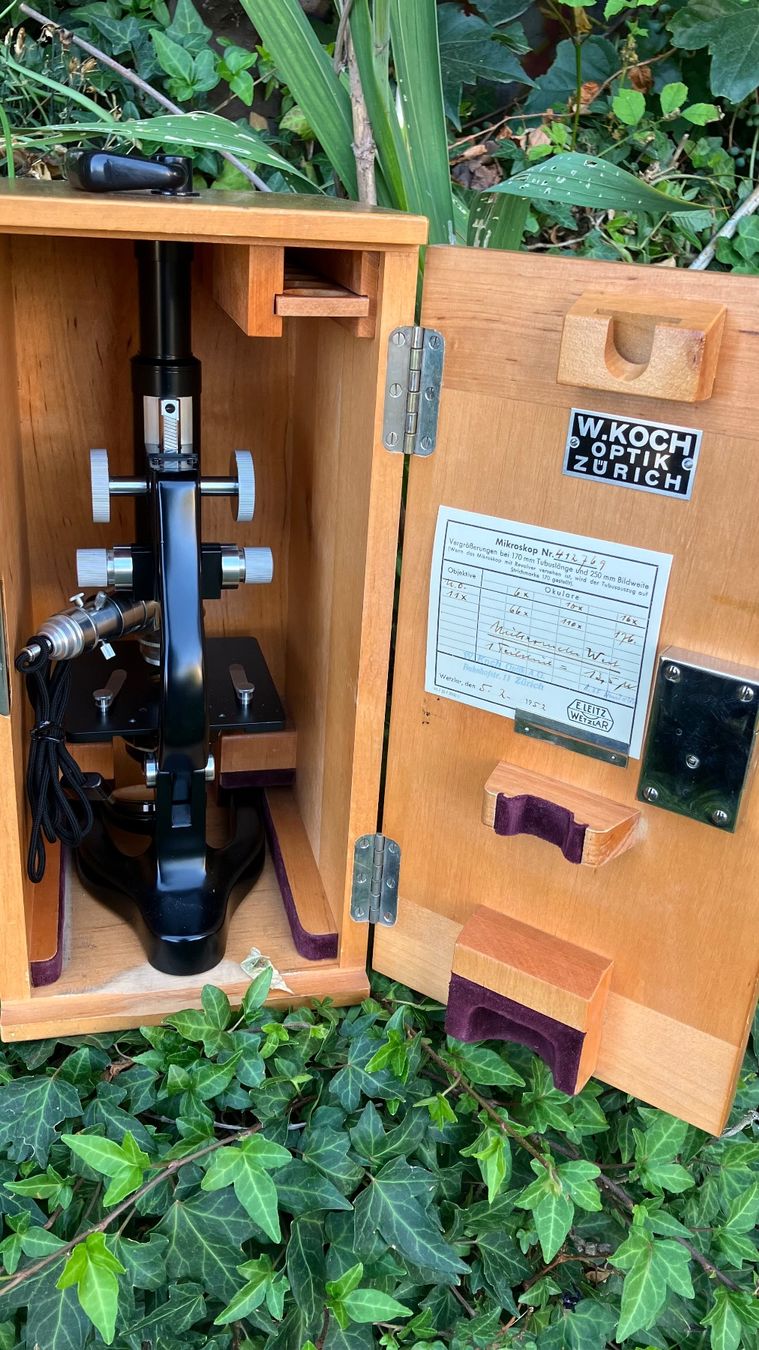 Ernst Leitz Wetzlar Zürich Microscope Mikroskop vintage (Gebraucht) in ...