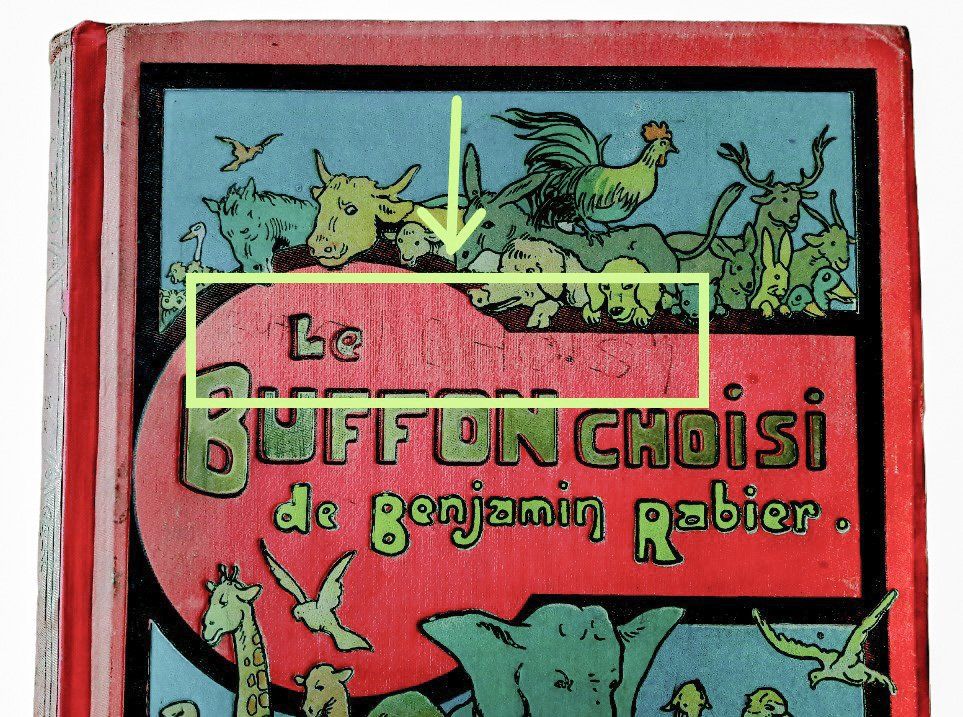 Libri: Le Buffon choisi Benjamin Rabier Garnier v. 1920 Animaux – Usato da Tavannes venduto da Nekosumi 9