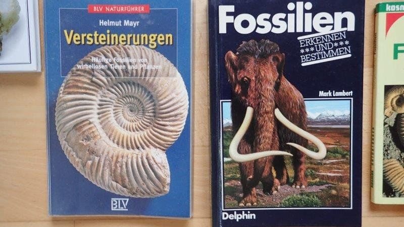 Bücher: Fossilien Bücher/Hefte – Gebraucht aus Rickenbach BL von Oktober68 1