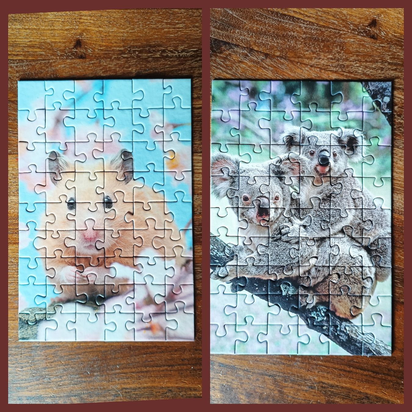 Ravensburger Puzzles: Kleine Puzzles Koala & Hamster – Gebraucht aus Buochs von NAmb